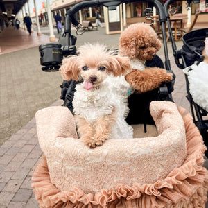 KALINA レースチュールフリルカートカバー ベージュ 小型犬とのお出かけシーン カート使用例