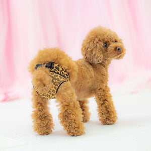 レオパード柄の上品なマナーパンツを着用した小型犬。おむつをおしゃれにカバーできるデザインで、お出かけや撮影会にもおすすめです。