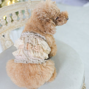 ベージュのレースとリボンが上品な犬用マナーベルト。KALINA（カリーナ）の新作で、やさしい色合いと繊細なディテールが特徴。