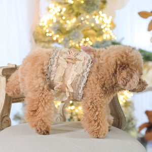 トイプードルのけいとがKALINAのベージュマナーベルトを着用。ふんわりレースとリボンが映える大人かわいいデザイン。