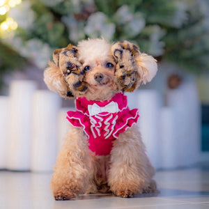 ョウ柄フェイクファー素材のベージュ系おめかしシュシュを耳につけたトイプードル｜KALINA ドッグウェアアクセサリー