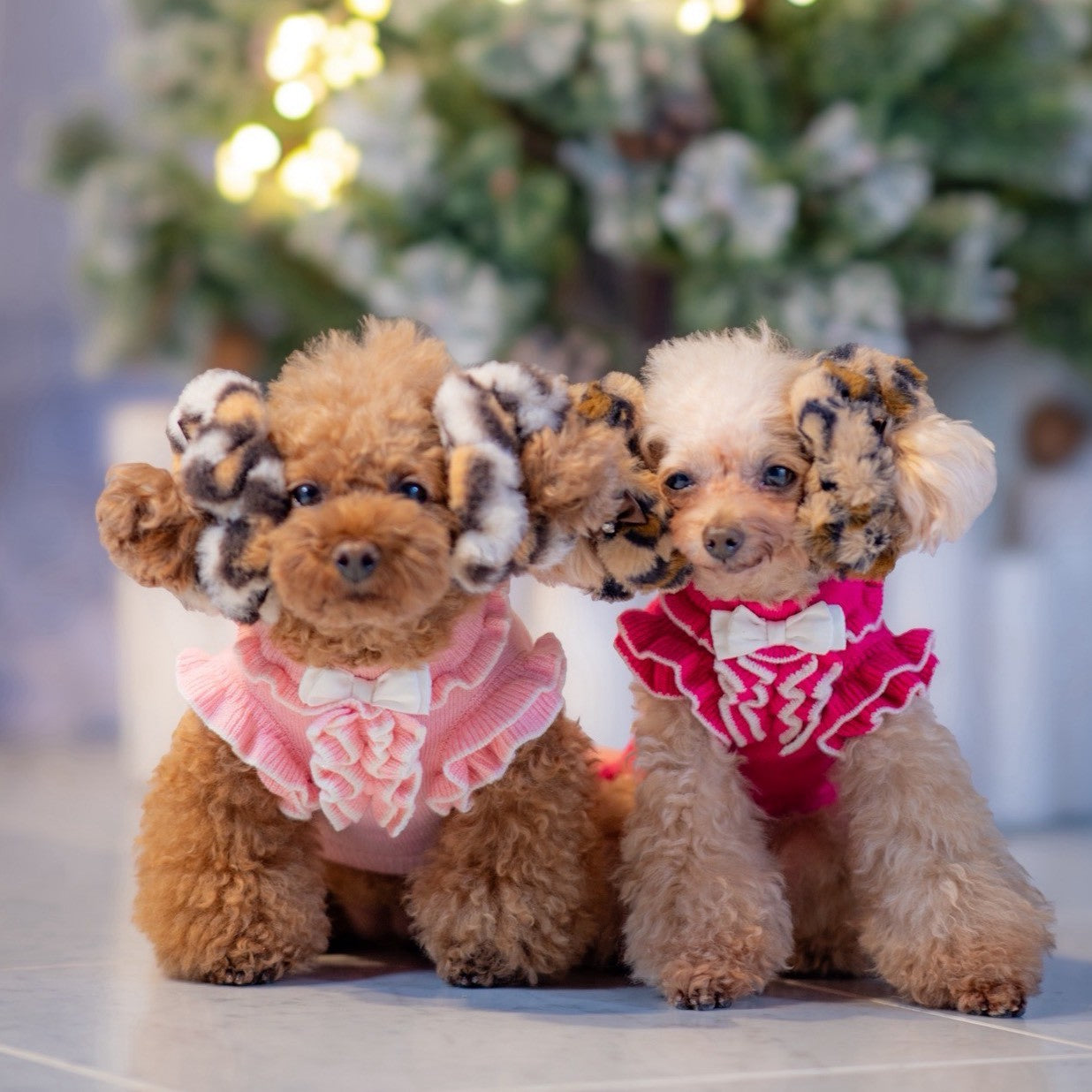 フェイクファー素材の黒い無地おめかしシュシュを耳につけた小型犬｜KALINA 犬用アクセサリー