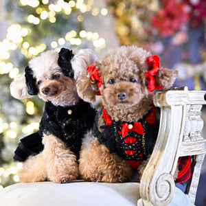 ベルベット素材の赤と黒のおめかしシュシュを耳につけた小型犬｜KALINA 犬用アクセサリー