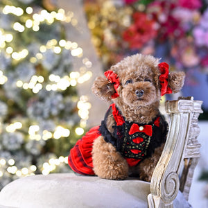 ベルベット素材の赤いおめかしシュシュを耳につけた小型犬｜KALINA 犬用アクセサリー