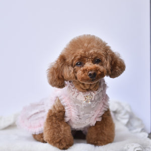 KALINA シアー千鳥ワンピース ピンク けいと着用 横向き モデル画像 犬服
