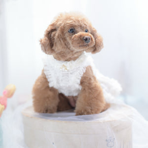 KALINA シアー千鳥ワンピース ホワイト けいと着用 前向き モデル画像 犬服
