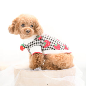 黒チェック柄いちご刺繍ニット フリルなし 側面 - 小型犬着用イメージ