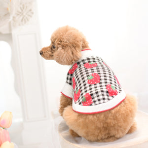 黒チェック柄いちご刺繍ニット フリルなし 後ろ - 小型犬着用イメージ