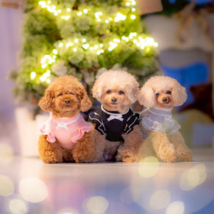 【新作】カシミヤ混カメリア柄ワンピース｜犬服 小型犬 ドッグウェア 秋冬 KALINA