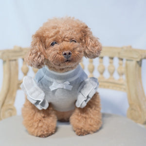 【新作】カシミヤ混カメリア柄ワンピース｜犬服 小型犬 ドッグウェア 秋冬 KALINA