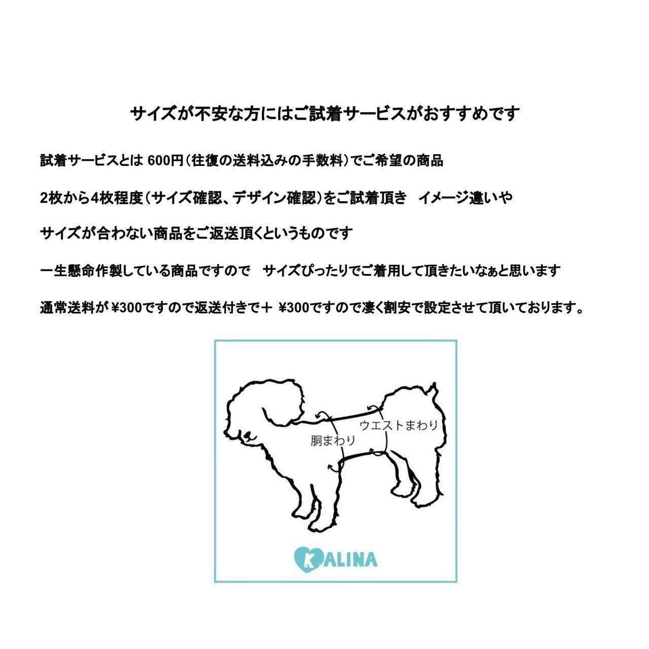 ギンガムいちご柄ワンピース | 小型犬 犬服 ドッグウェア KALINA