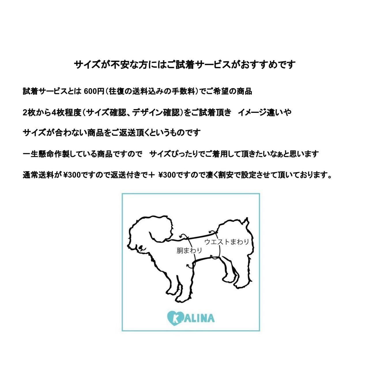 ニットコットンレースワンピース | 小型犬 犬服 ドッグウェア KALINA