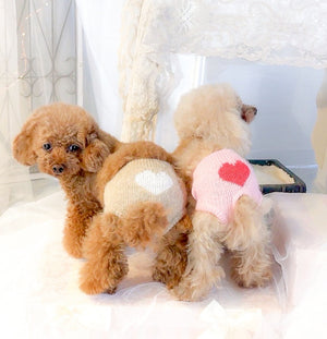 犬用ニットマナーパンツ けいとのやさしいパンツ ベージュとピンク 小型犬着用イメージ