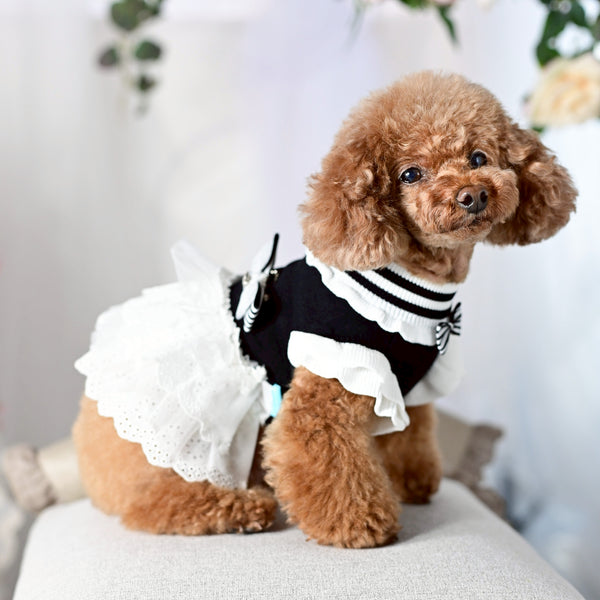 ニットコットンレースワンピース | 小型犬 犬服 ドッグウェア KALINA