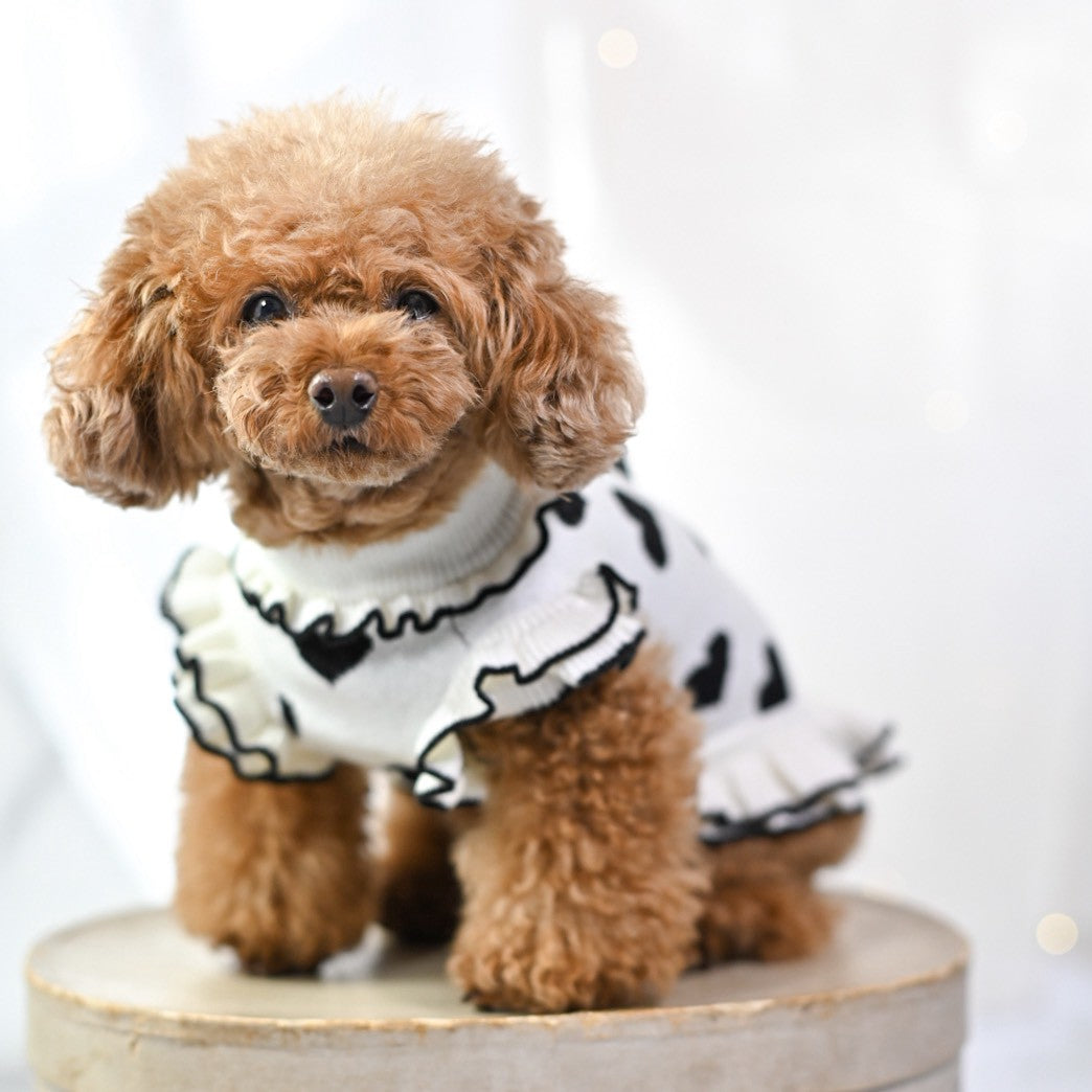 新色白×黒のハート柄ニットワンピースを着用したトイプードルの後ろ姿。モノトーン配色でスッキリな印象の犬服