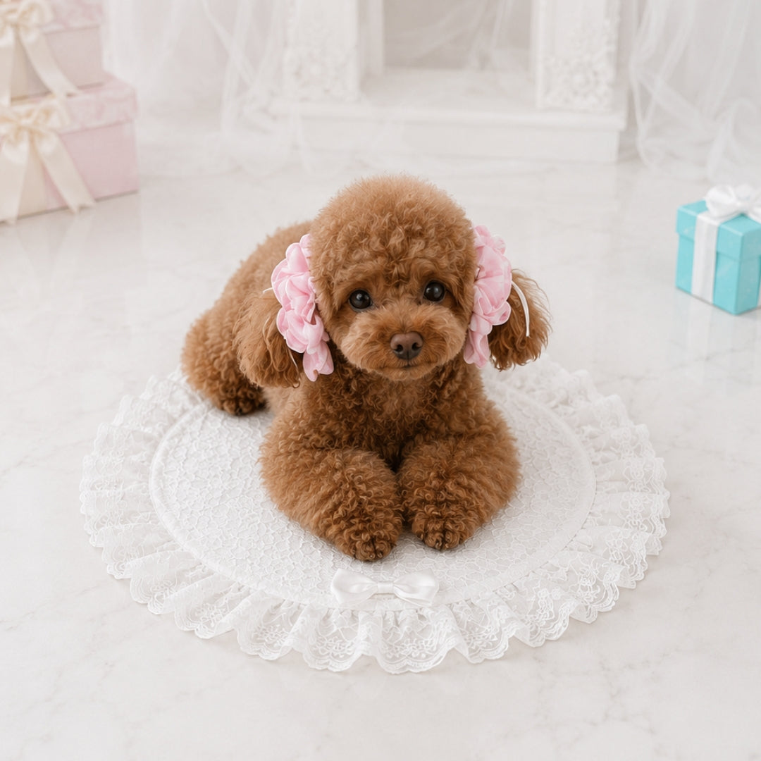 レースサークルカフェマット | 小型犬 お出かけ カフェ用 KALINA