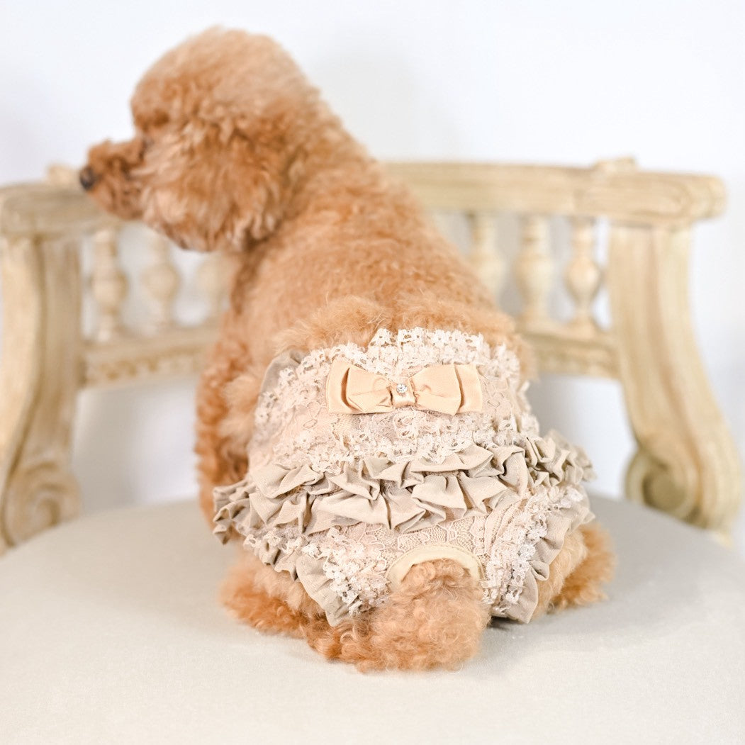 縦柄レース マナーパンツ マジックテープタイプ ベージュ お花柄レース 着画