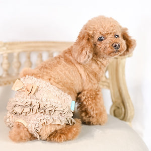 縦柄レース マナーパンツ マジックテープタイプ ベージュ お花柄レース 着画