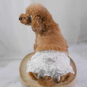 縦柄レース マナーパンツ マジックテープタイプ 　白　縦柄レース 着画