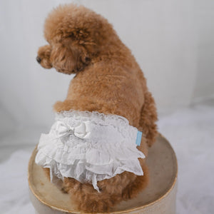 縦柄レース マナーパンツ マジックテープタイプ 　白　縦柄レース 着画