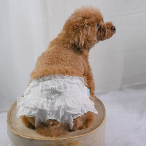 縦柄レース マナーパンツ マジックテープタイプ 白　 縦柄レース 着画