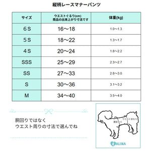 女の子たて柄レースマナーパンツ |  犬服 小型犬 ドッグウェア マナーウェア 女の子 KALINA