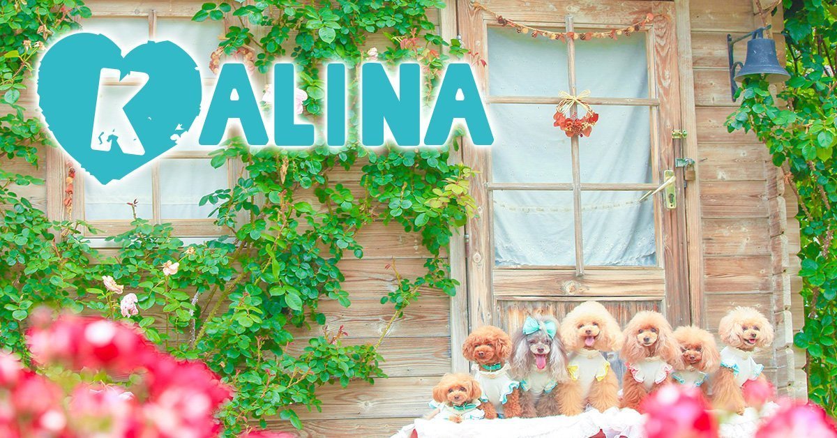 全ての商品 - ワンコ服KALINA 【 kalina_wans_gogoh 】