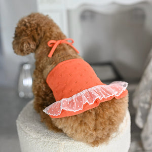 透かし柄エプロンワンピース オレンジ 首元のリボンと白いドットチュールフリルが見える後ろ姿｜犬服 ドッグウェア KALINA