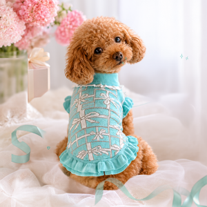 ニットプレゼントボックス柄ワンピース ブルー バックスタイル 着用画像｜犬服 ドッグウェア KALINA