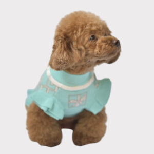 ニットプレゼントボックス柄ワンピース ブルー フロントスタイル 着用画像｜犬服 ドッグウェア KALINA