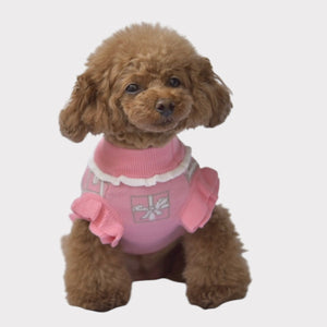 ニットプレゼントボックス柄ワンピース ピンク フロントスタイル 着用画像｜犬服 ドッグウェア KALINA