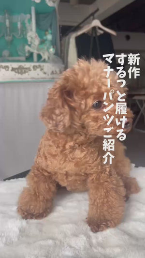 【新作】するっと履けるレースマナーパンツ
