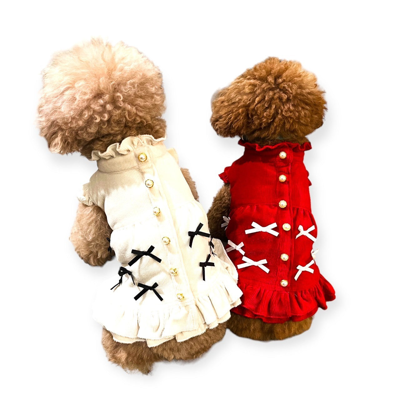 トイプードルがアイボリーのコーデュロイワンピースを着て後ろを向いている