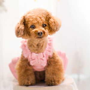 KALINA スプリングツイードワンピース ピンク 正面 小型犬 ドッグウェア kate着用