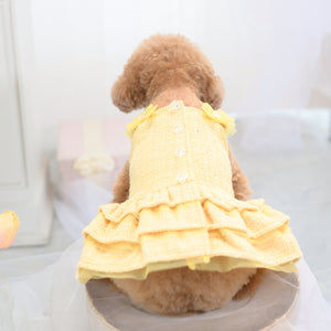 KALINA スプリングツイードワンピース イエロー 後ろ 小型犬 ドッグウェア kate着用