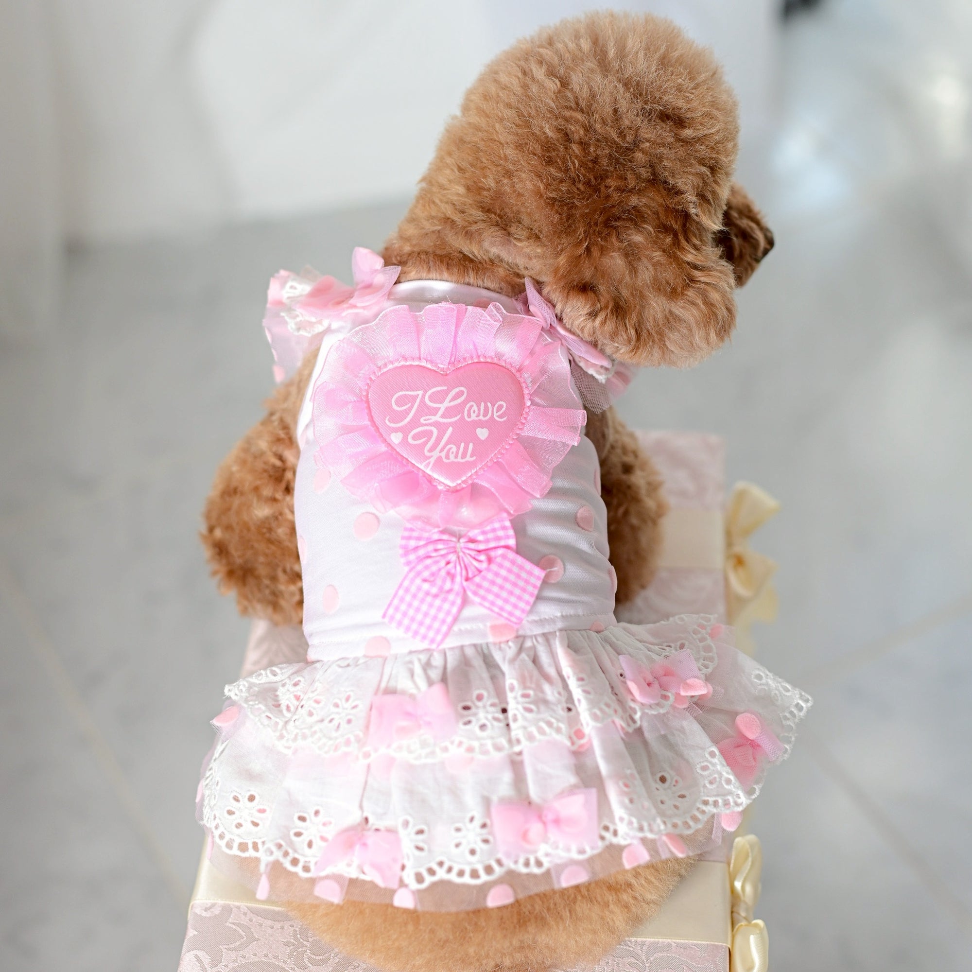 スウィートハートドットチュールワンピース | 小型犬 犬服 KALINA