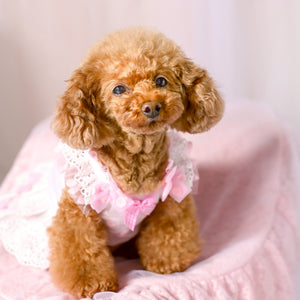 スウィートハートドット柄ワンピース　ピンク　正面着画　トイプードル　KALINA