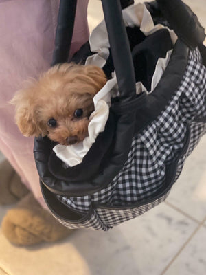 ギンガムチェックのバッグから顔をのぞかせる小さなトイプードルの写真。黒いふわもこバッグインバッグ入り。
