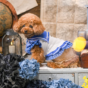 【新作】UVカットセーラーニットワンピース｜犬服 小型犬 ドッグウェア  KALINA