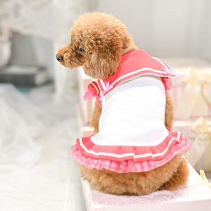 UVカットセーラーニットワンピース ピンク 後ろ姿の着用イメージ