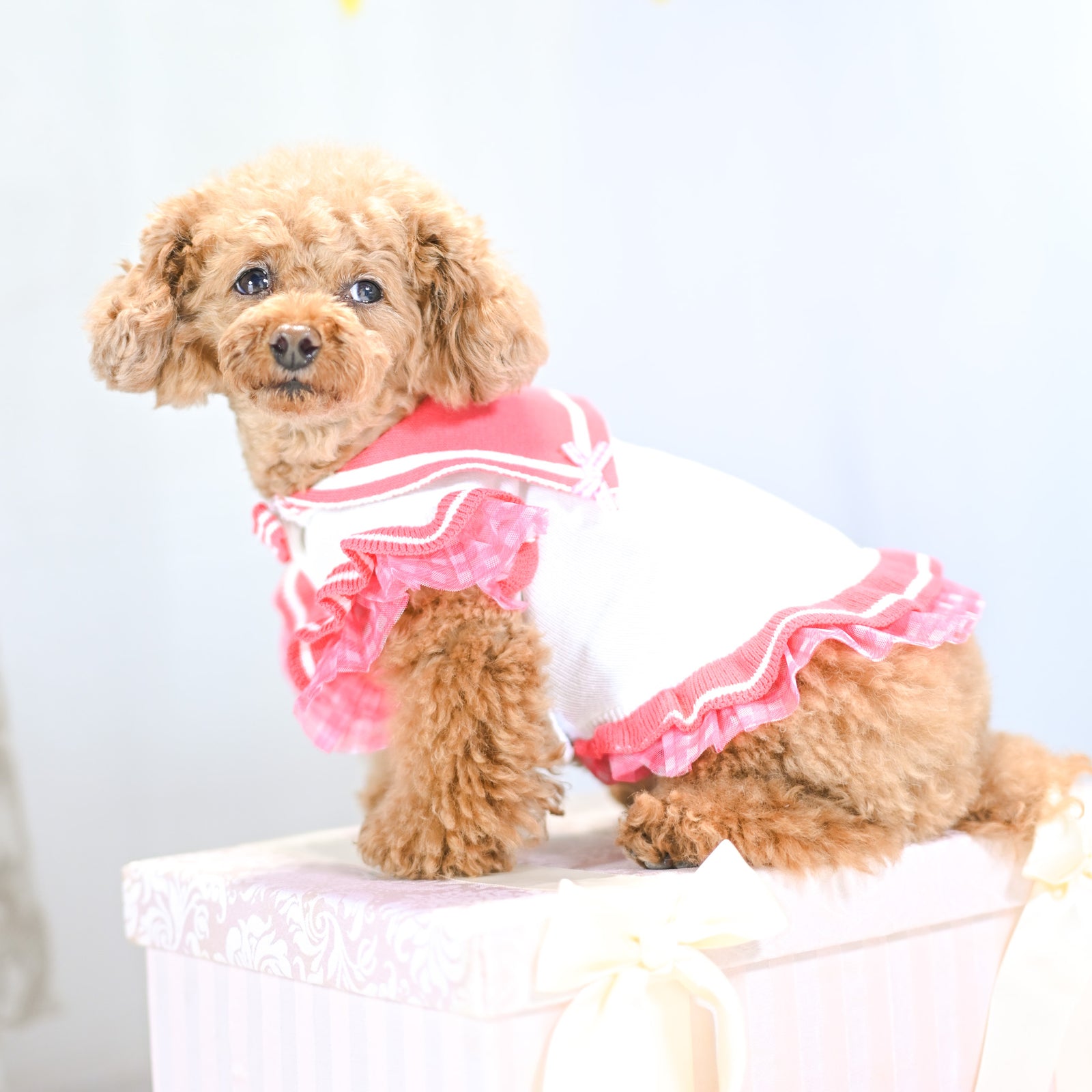 【新作】UVカットセーラーニットワンピース｜犬服 小型犬 ドッグウェア  KALINA