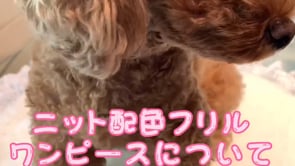 ニット配色フリルワンピース