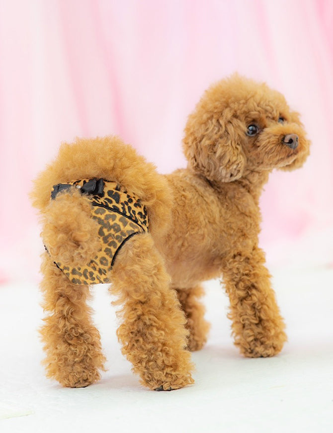 ヒョウ柄せくすぃマナーパンツ | 犬服 小型犬 ドッグウェア マナー