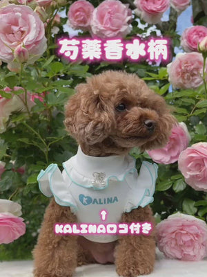 香水プリントTシャツワンピース