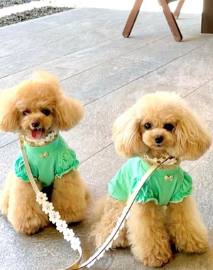 パフスリーブぷちハイネックTシャツ