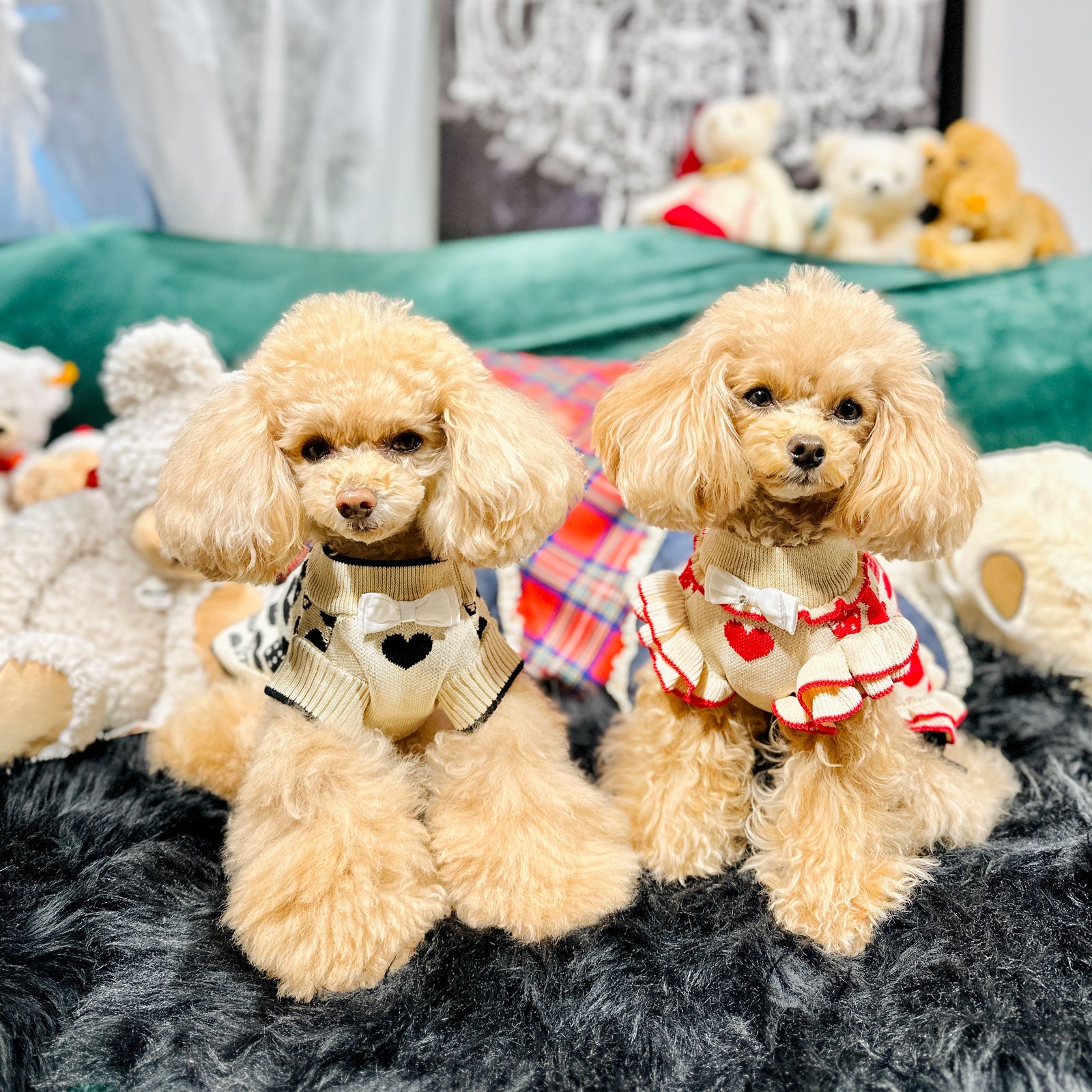 いろいろハート柄ニット（フリルあり・なし）| 犬服 小型犬 ドッグウェア 秋冬 KALINA