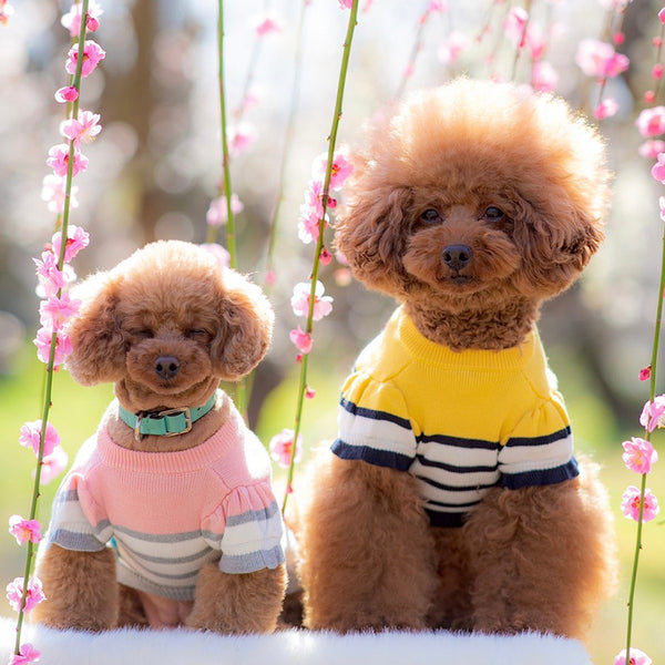 ☆WARE OF THE DOG セーター③未着用 犬服¥12100 ドッグウェア/犬 ☆WARE OF THE DOG セーター③未着用 犬服¥12100 ドッグウェア/犬