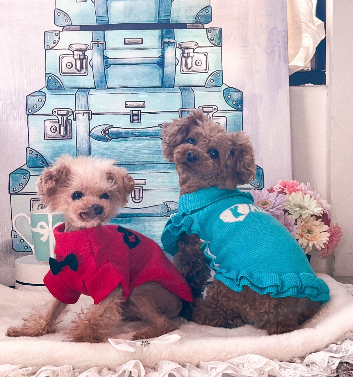 KALINAユニフォーム　フリルあり　フリル無し | 犬服 小型犬 ドッグウェア 秋冬 KALINA