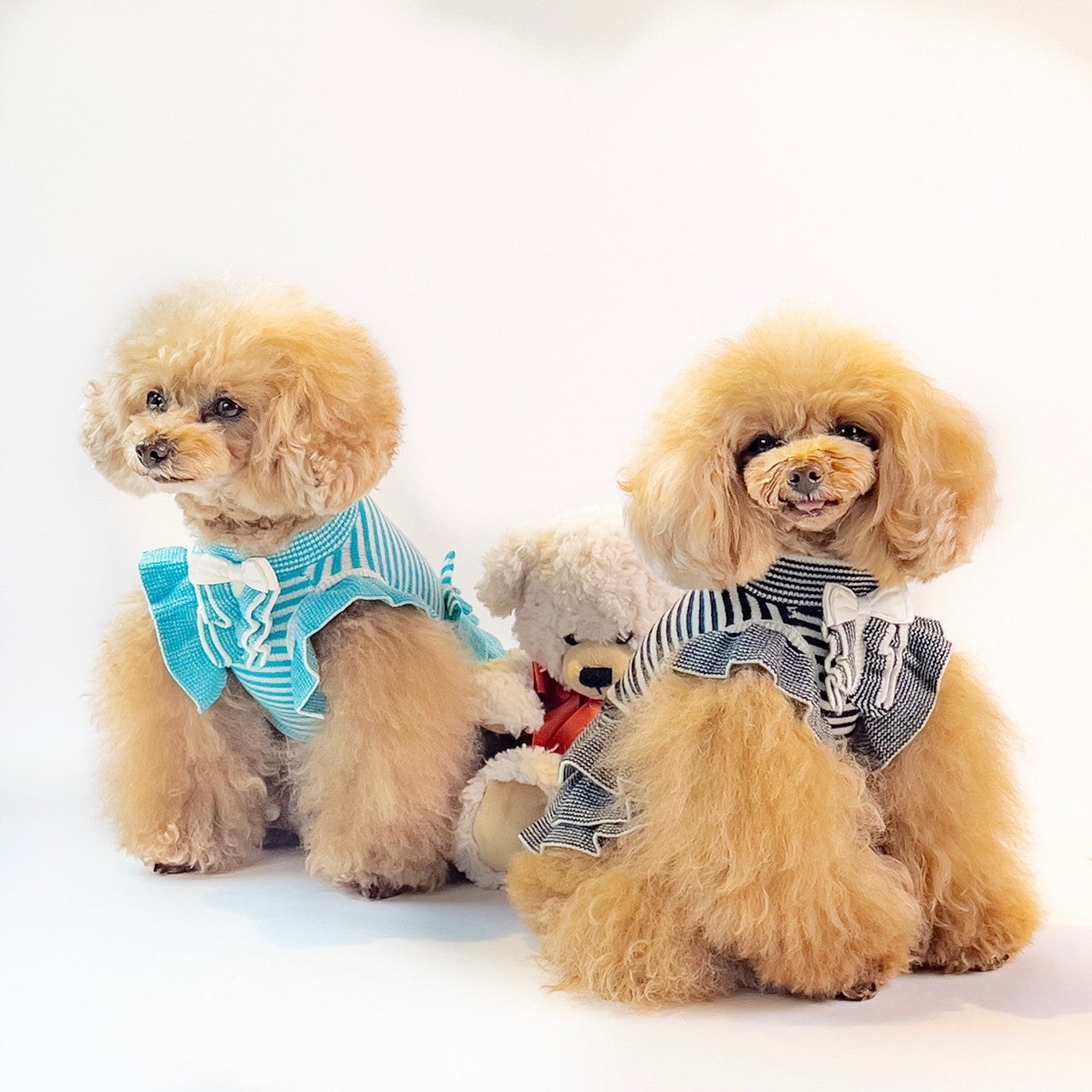 ニット細ボーダーフリルワンピース | 犬服 小型犬 ドッグウェア 秋冬 KALINA