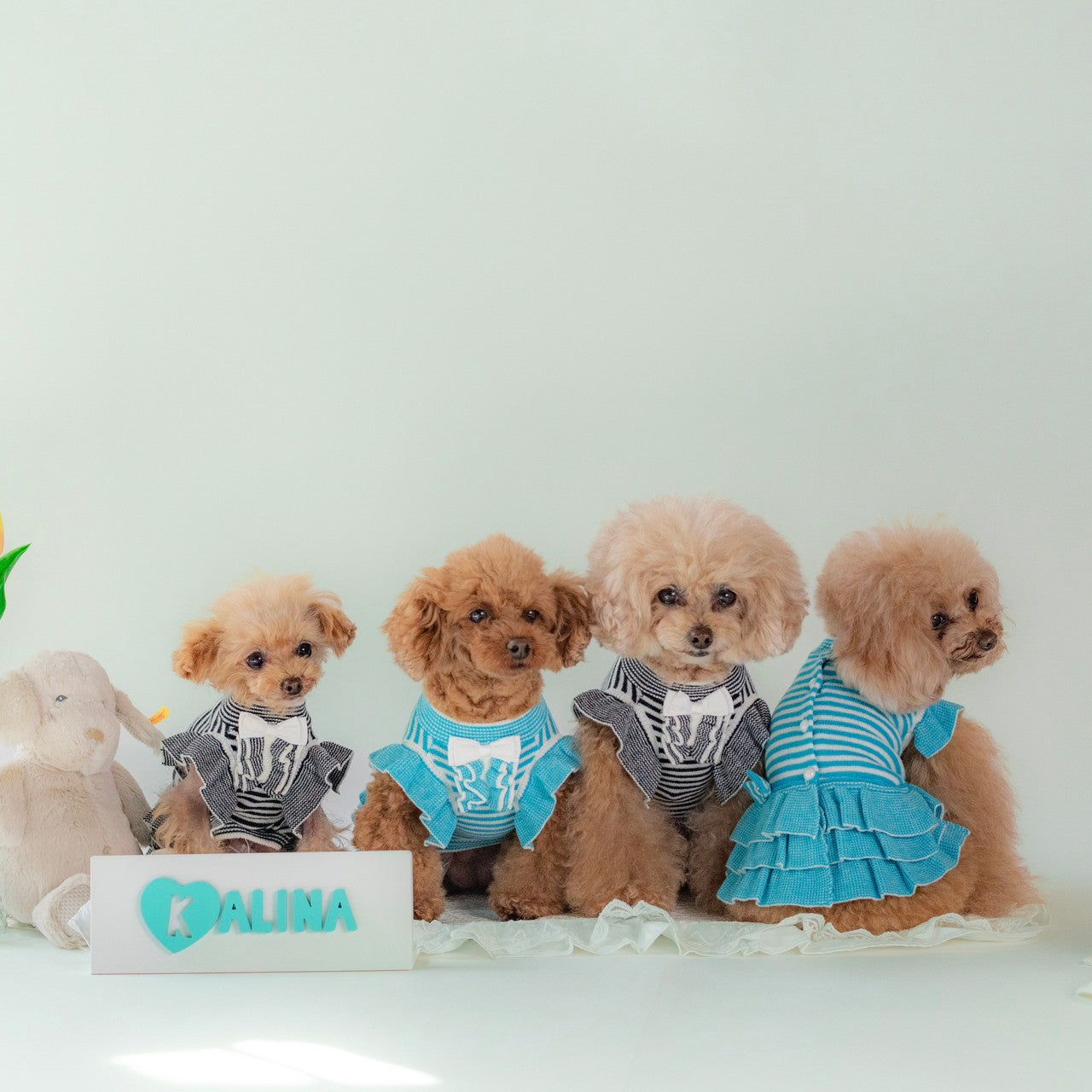 ニット細ボーダーフリルワンピース | 犬服 小型犬 ドッグウェア 秋冬 KALINA